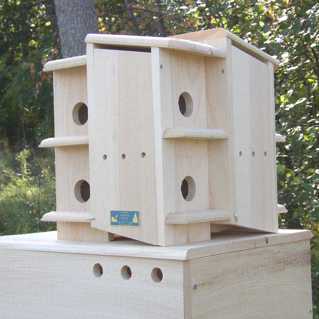 Italian Colony Birdhouse Woodworking Plan Based On Purple 